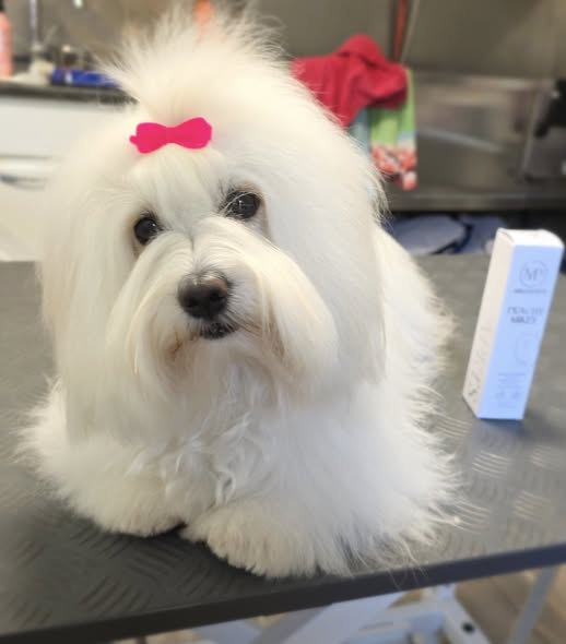 Grooming 6